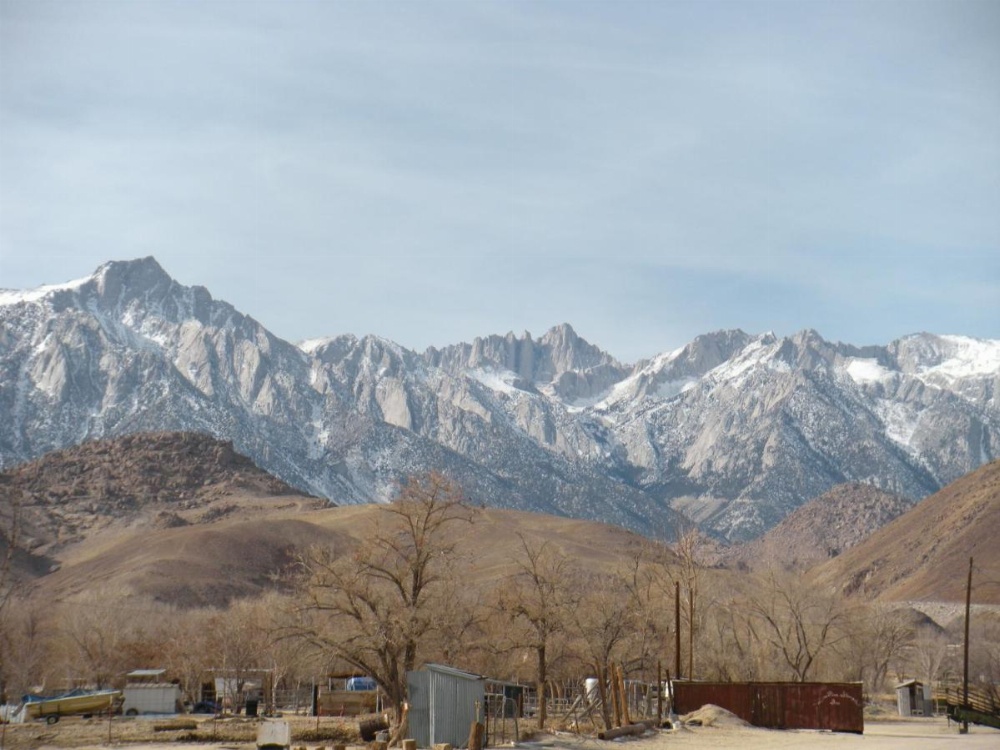 Lone Pine Budget Inn Image 11