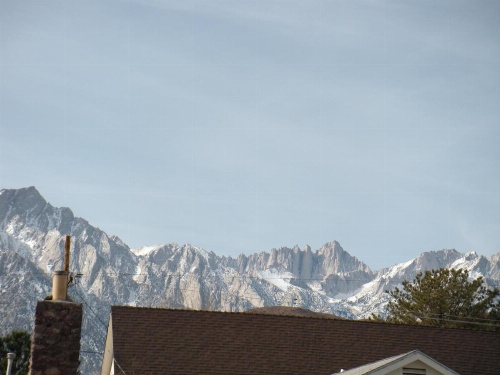 Lone Pine Budget Inn image 8